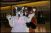 [DamonHusky FC2009 318]