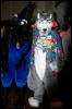 [DamonHusky FC2009 326]