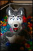 [DamonHusky FC2009 382]