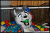 [DamonHusky FC2009 389]