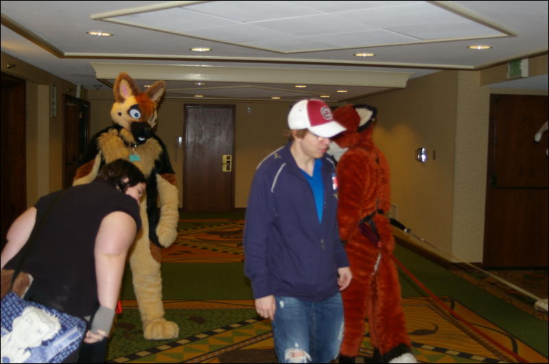 [DamonHusky_FC2009_407.jpg]