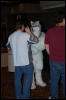 [RexWolf FC2009 2933]