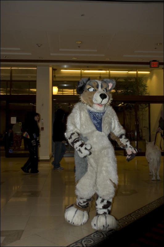 [RexWolf_FC2009_3013.jpg]