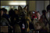 [RexWolf FC2009 3120]