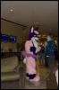 [RexWolf FC2009 3157]