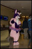 [RexWolf FC2009 3160]