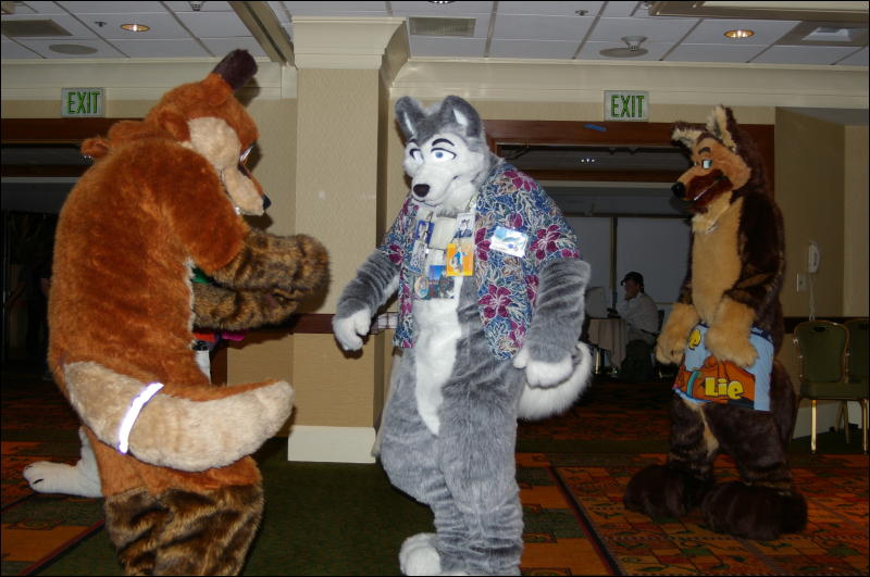 [DamonHusky_FC2009_057.jpg]