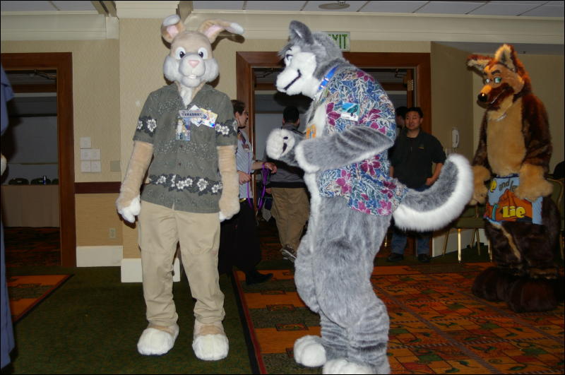 [DamonHusky_FC2009_060.jpg]