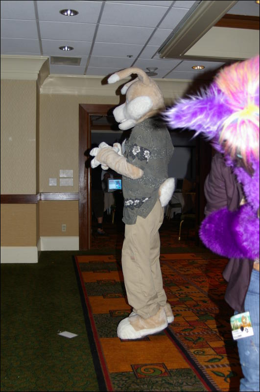 [DamonHusky_FC2009_071.jpg]