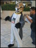 [BrownWolf FC2009 310]