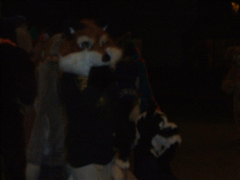 [BrownWolf_FC2009_324.jpg]