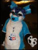 [BrownWolf FC2009 332]