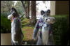 [DamonHusky FC2009 037]