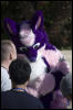 [RexWolf FC2009 3177]