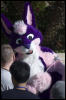 [RexWolf FC2009 3178]