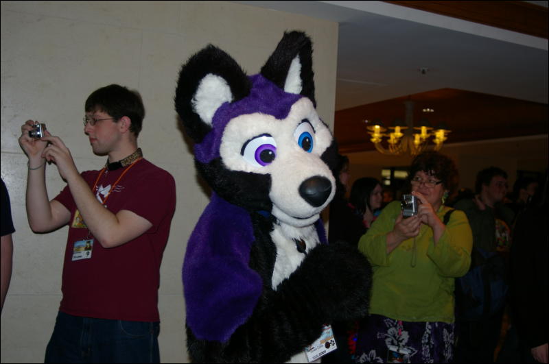 [DamonHusky_FC2009_192.jpg]