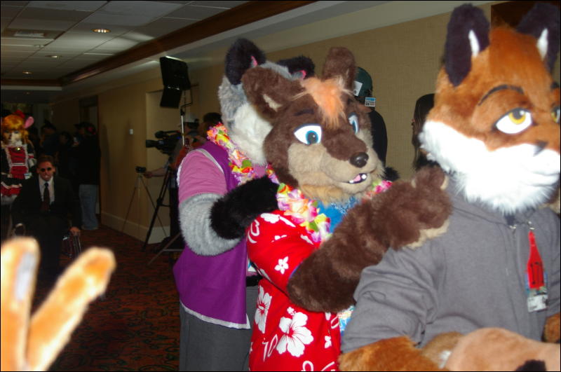 [DamonHusky_FC2009_202.jpg]