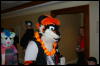 [DamonHusky FC2009 214]