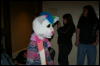 [DamonHusky FC2009 215]