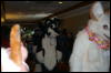 [DamonHusky FC2009 233]