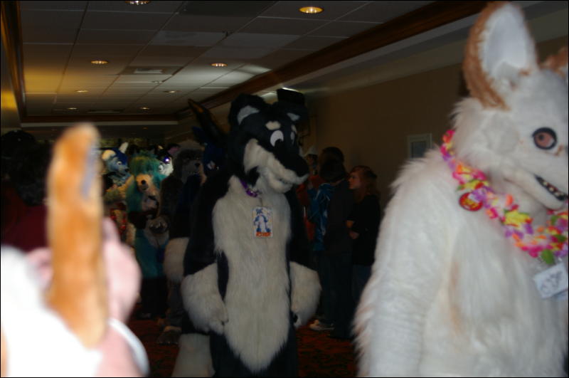 [DamonHusky_FC2009_233.jpg]