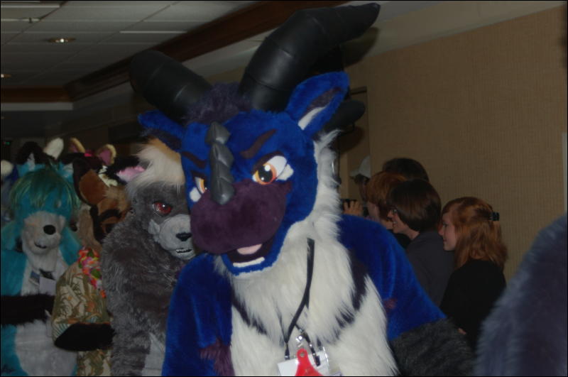 [DamonHusky_FC2009_234.jpg]