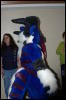 [DamonHusky FC2009 238]