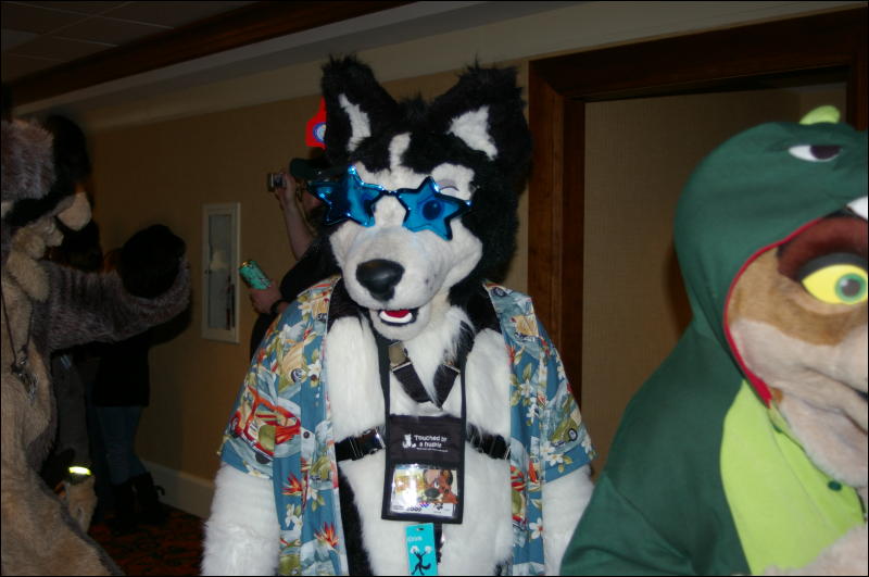 [DamonHusky_FC2009_240.jpg]