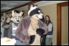 [DamonHusky FC2009 241]