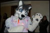 [DamonHusky FC2009 251]