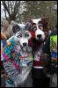 [DamonHusky FC2009 272]