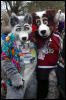 [DamonHusky FC2009 273]