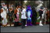 [DamonHusky FC2009 307]