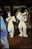 [Twigmouse FC2009 138]