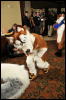 [Twigmouse FC2009 259]