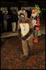 [Twigmouse FC2009 283]