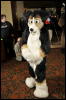 [Twigmouse FC2009 335]