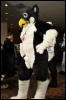 [Twigmouse FC2009 427]