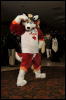 [Twigmouse FC2009 484]