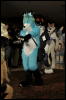 [Twigmouse FC2009 529]