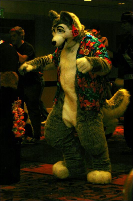 [DamonHusky_FC2009_338.jpg]