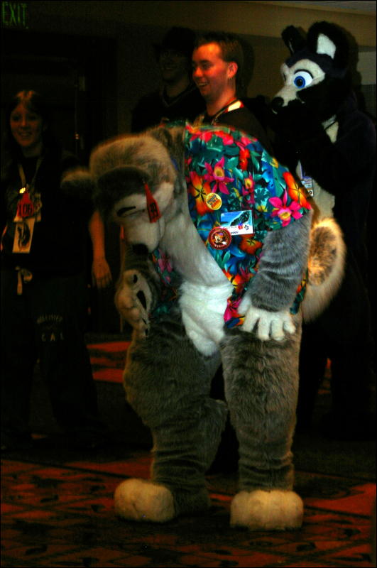 [DamonHusky_FC2009_342.jpg]