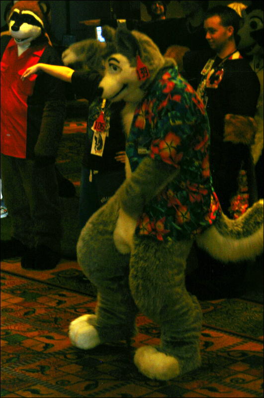 [DamonHusky_FC2009_345.jpg]