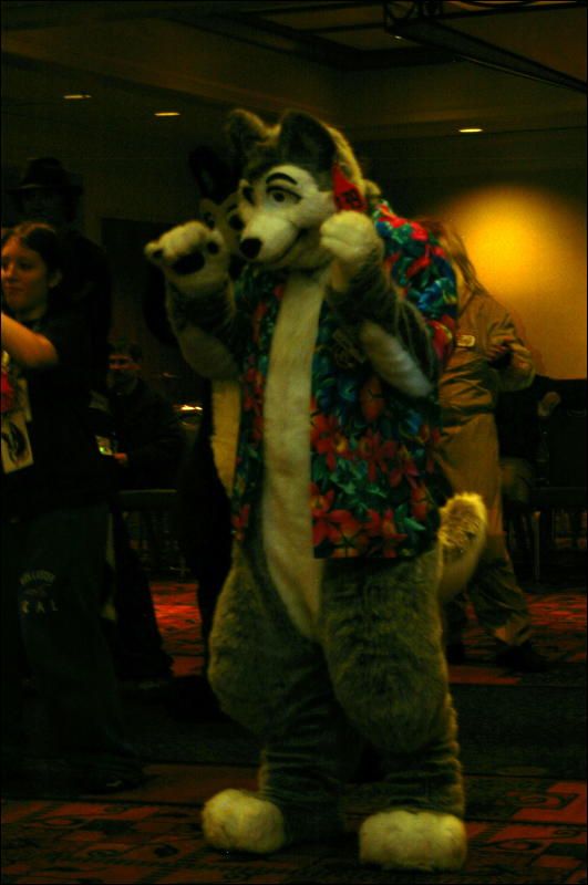 [DamonHusky_FC2009_347.jpg]