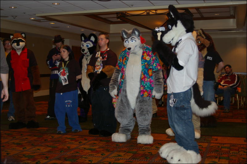 [DamonHusky_FC2009_350.jpg]