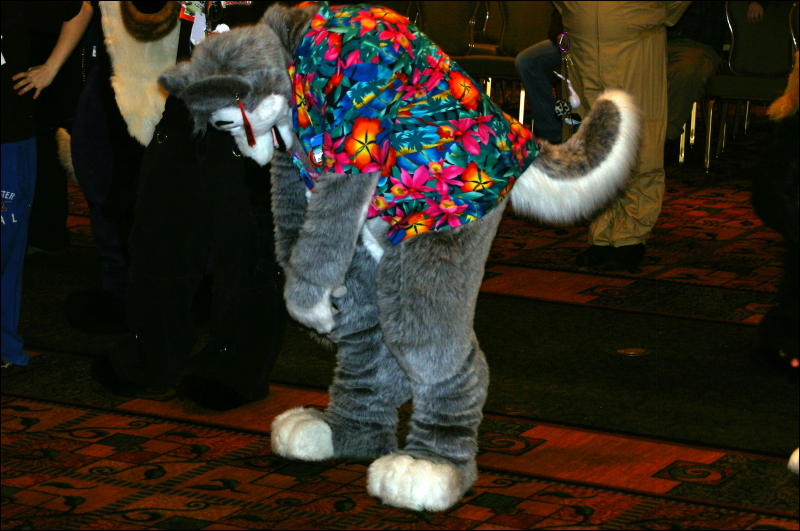 [DamonHusky_FC2009_359.jpg]