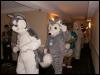 [Fuzzwolf MFM2001 19]