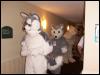 [Fuzzwolf MFM2001 37]