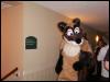 [Fuzzwolf MFM2001 41]