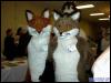 [ZenWolf  MFM2001 17]